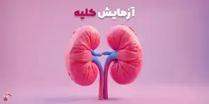 خواندن جواب آزمایش کلیه آنلاین با هوش مصنوعی 